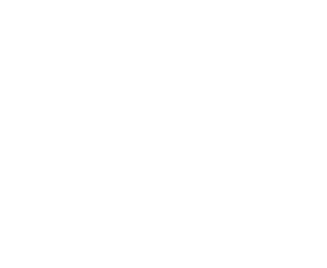 bizhub logo white
